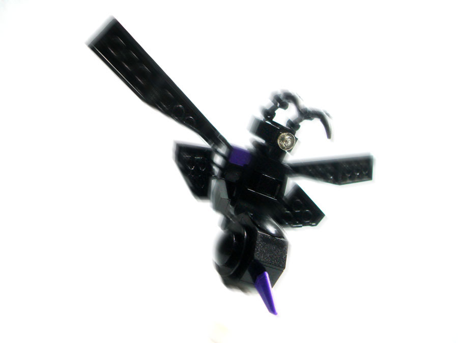 05.jpg