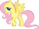fluttershy.png
