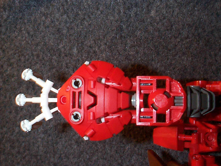 handcloseup.jpg