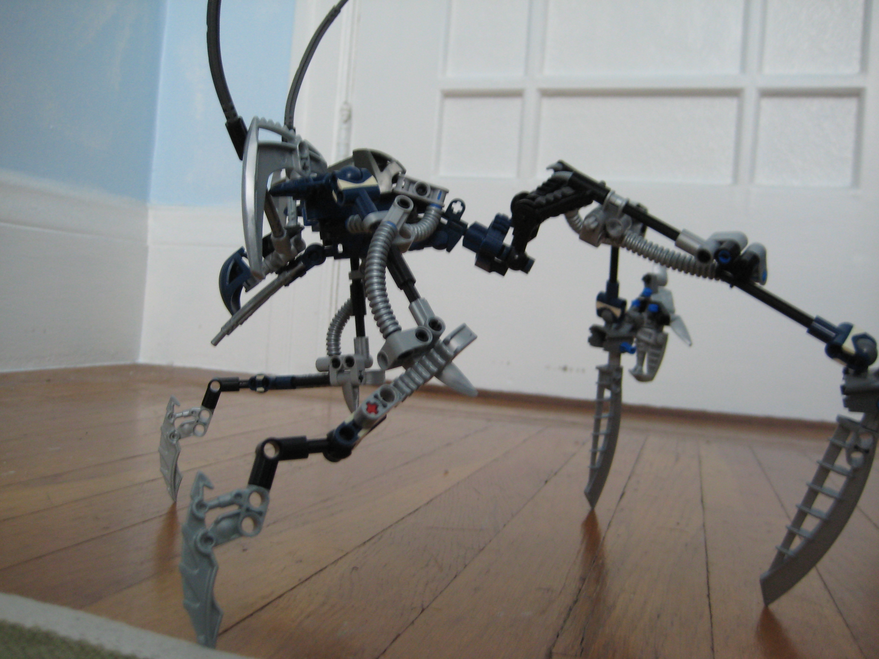 iternic_crawler_form_2.jpg