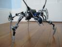 iternic_crawler_form.jpg