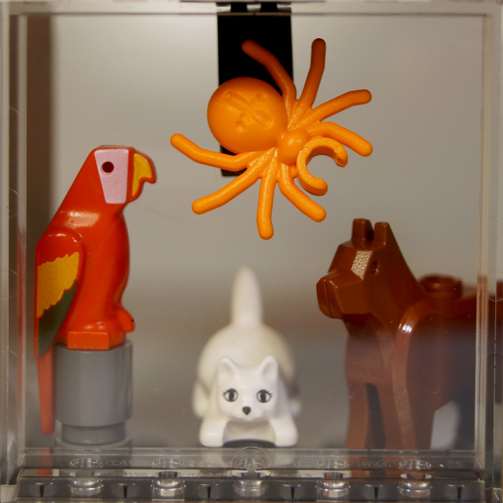 petshop04.jpg