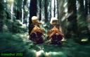 2002__speederbikes.jpg