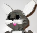 wwym_rabbit1.jpg