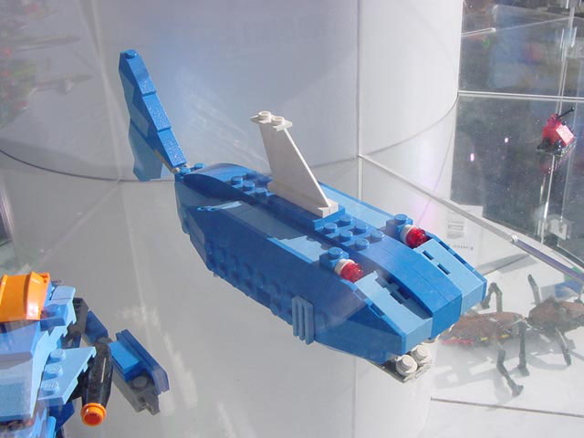 wwym_shark_missing_fins.jpg