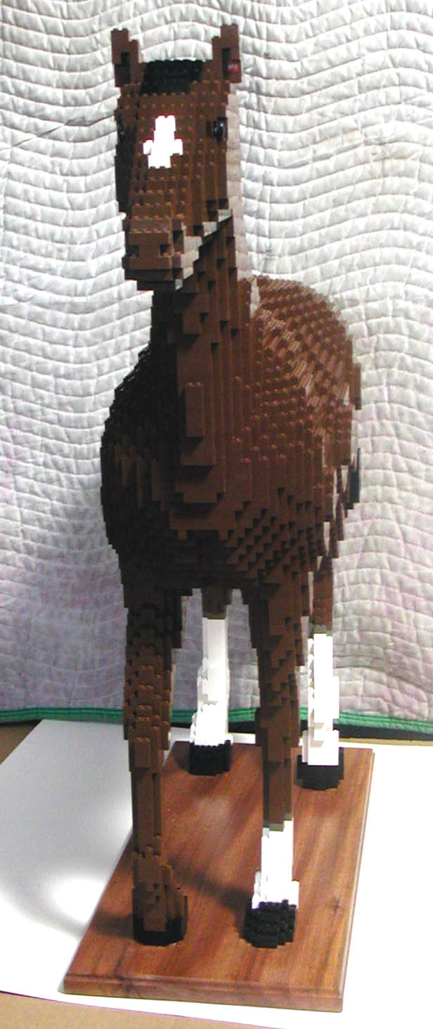 horse_body_04.jpg