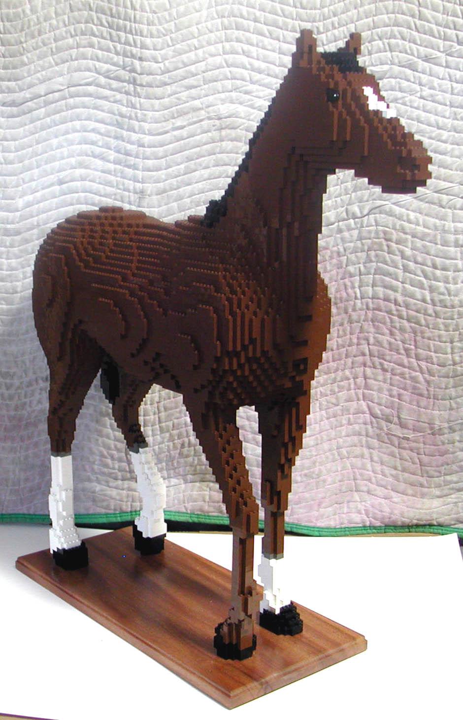 horse_body_06.jpg