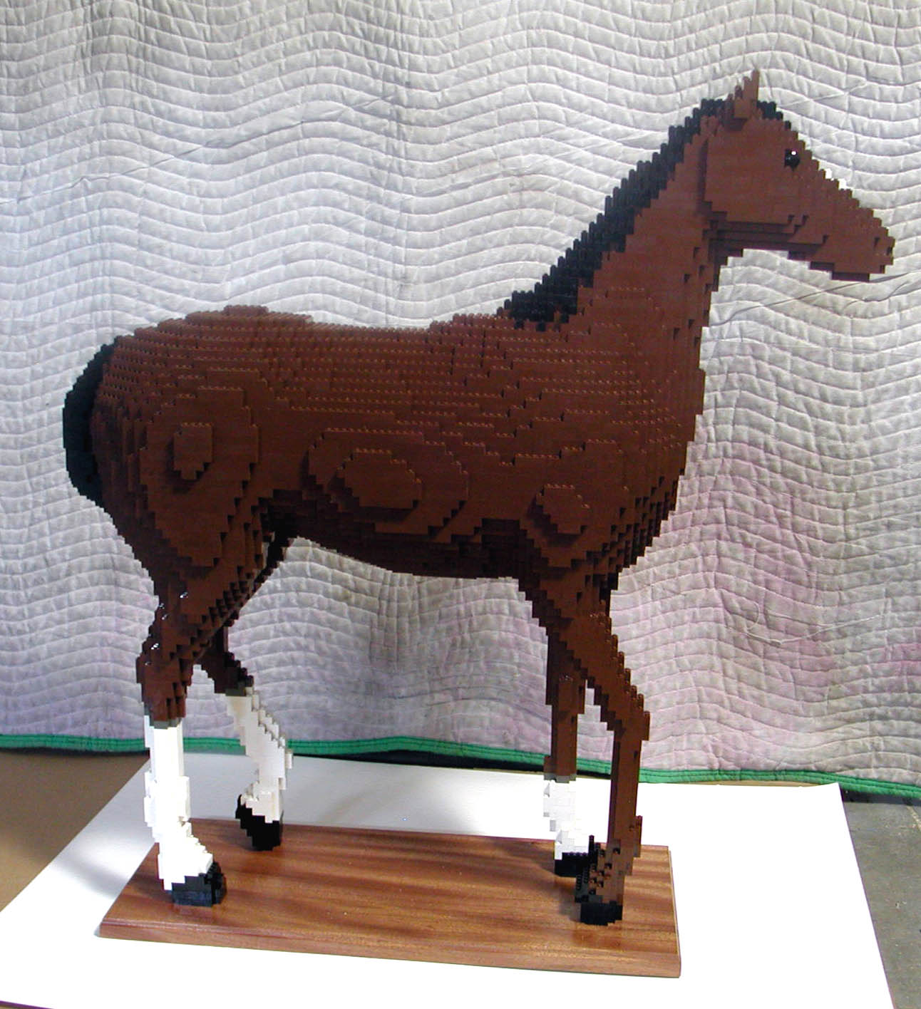 horse_body_07.jpg
