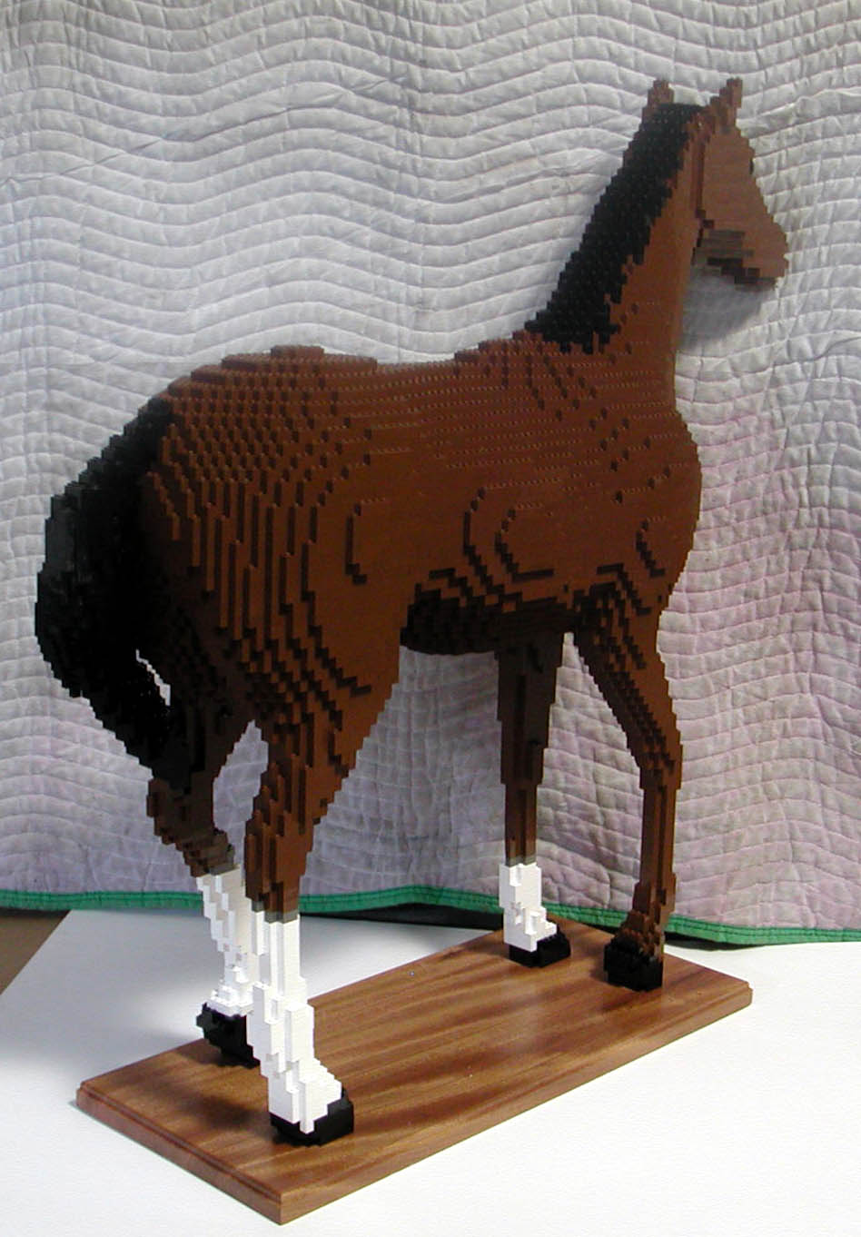horse_body_08.jpg