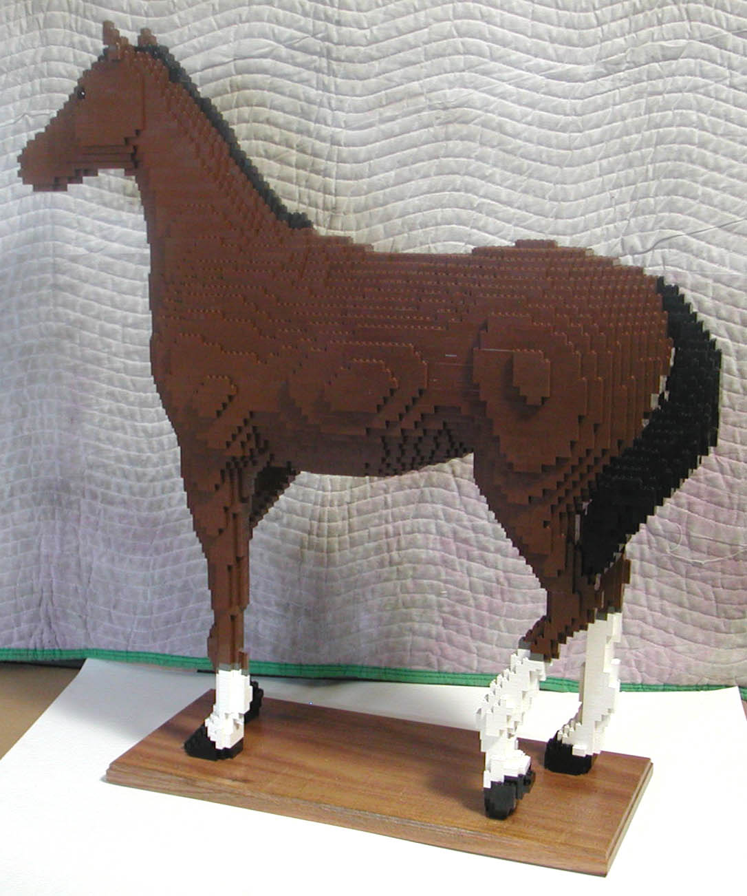 horse_body_12.jpg