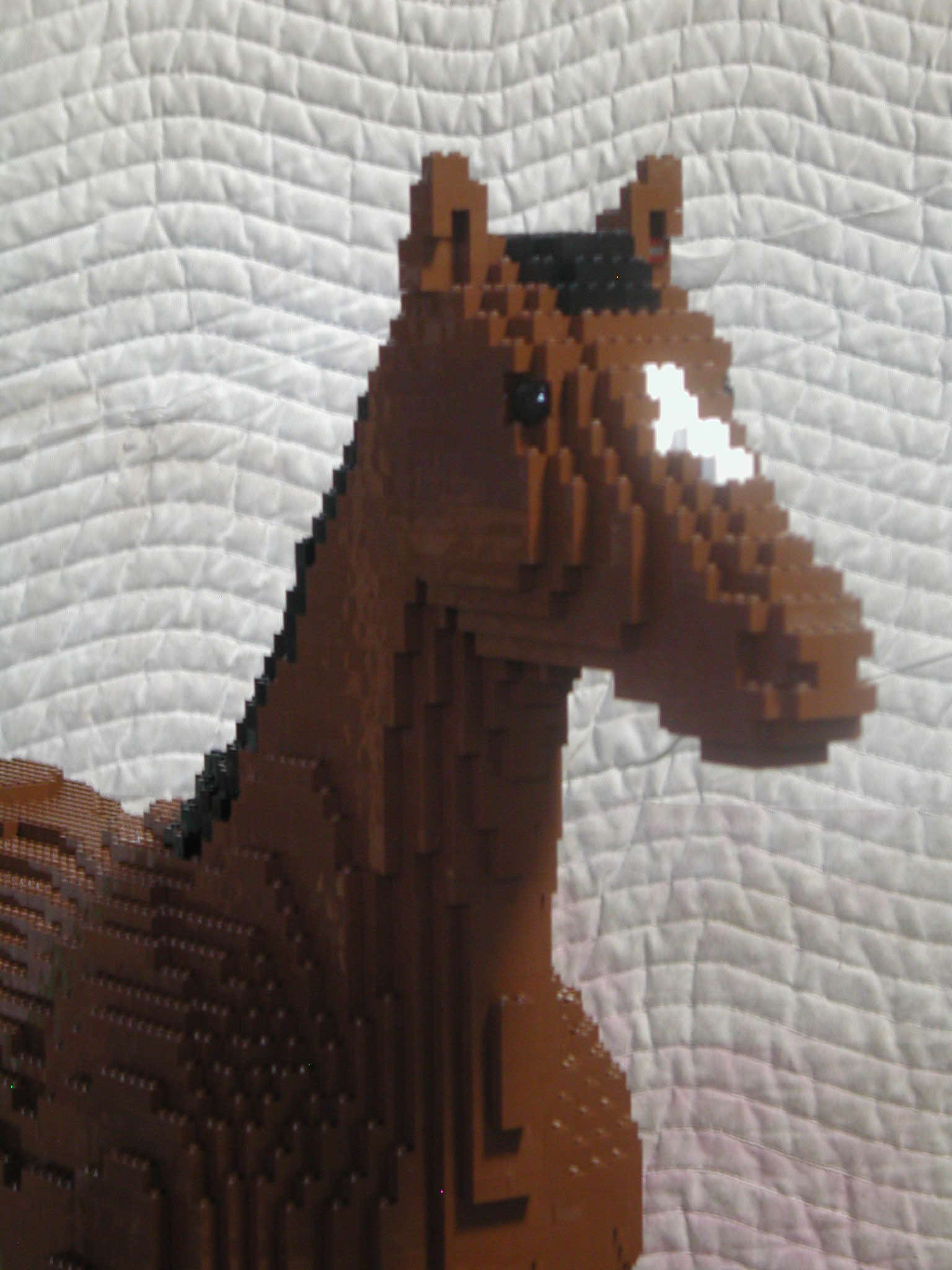 horse_head_02.jpg