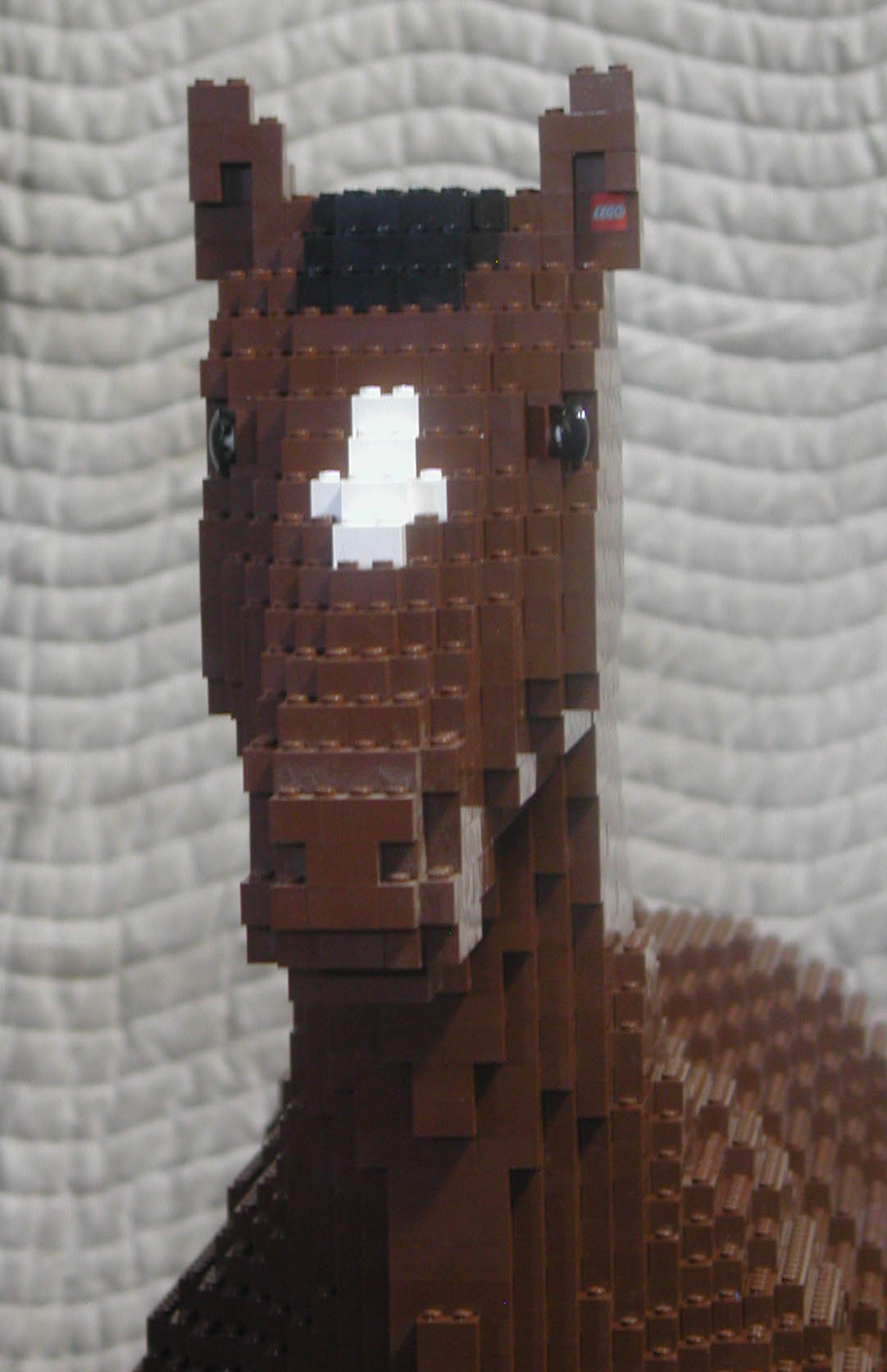 horse_head_03.jpg