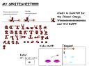 tv555_spritesheet.bmp