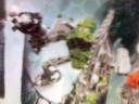 lewa_nuva_thumbnail.jpg