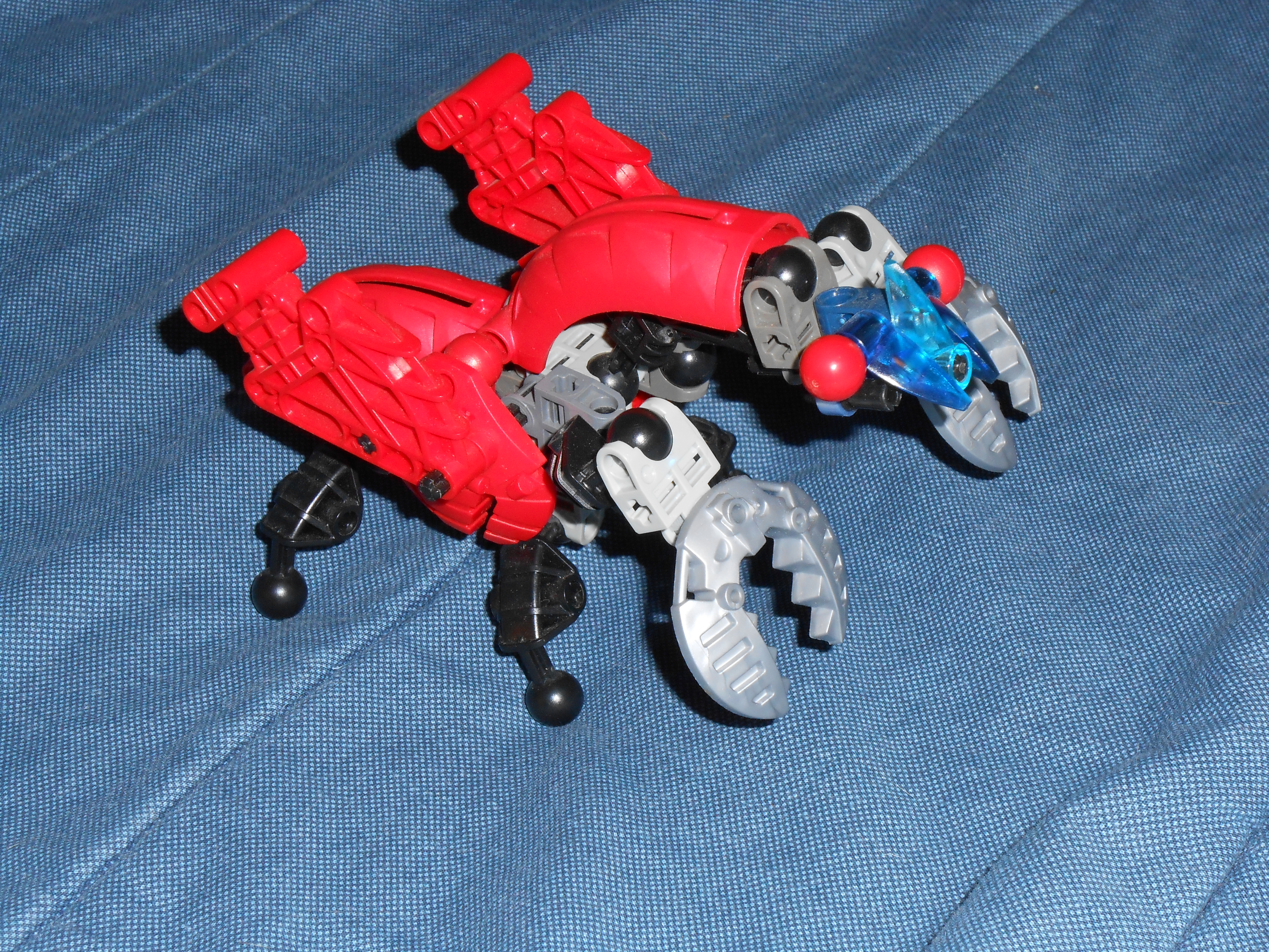 dscn0973.jpg