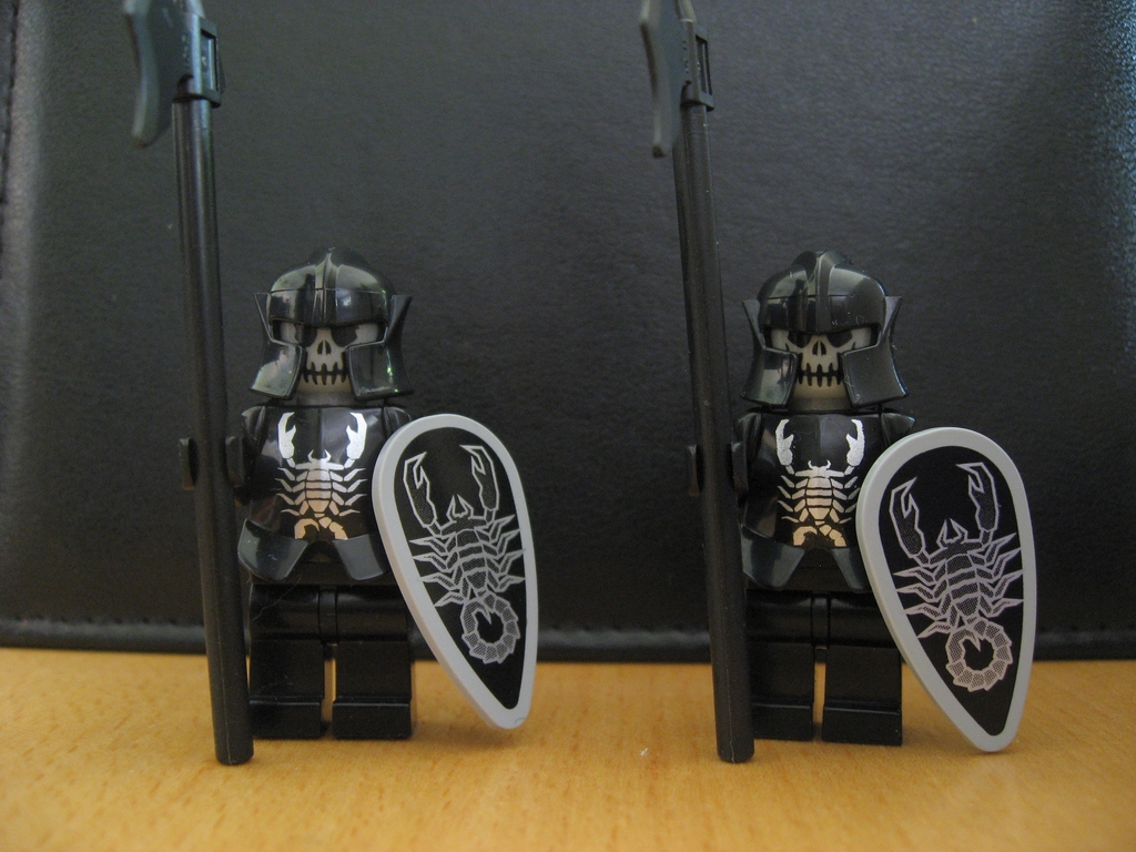 scorpion_guards.jpg