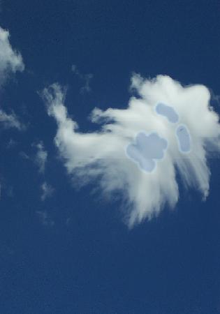 molcloud.jpg