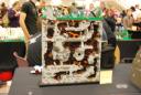 brickcon_024.jpg