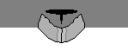 mandalorian_exile_head.bmp