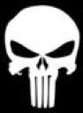 punisher_skull.jpg
