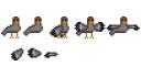 pigeon.png