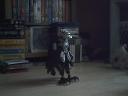 vezon_animation.gif