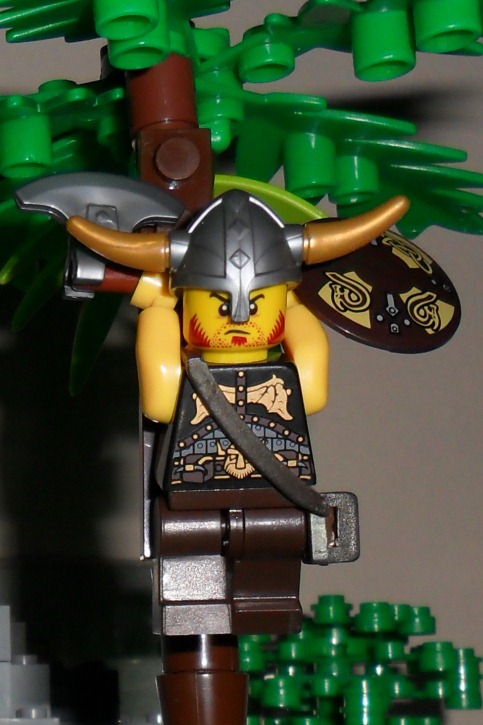 viking_warrior.jpg