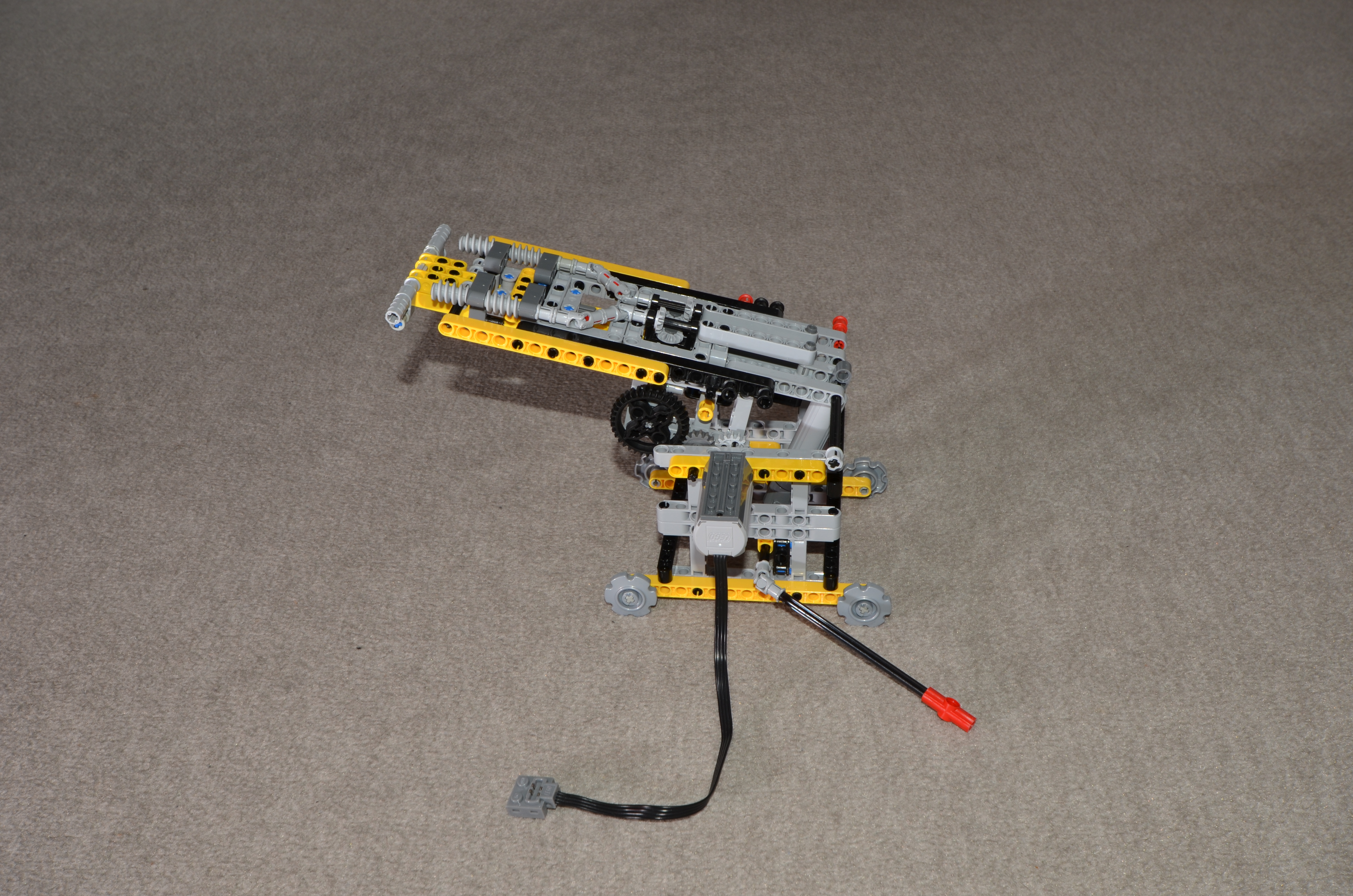 nd7_3981.jpg