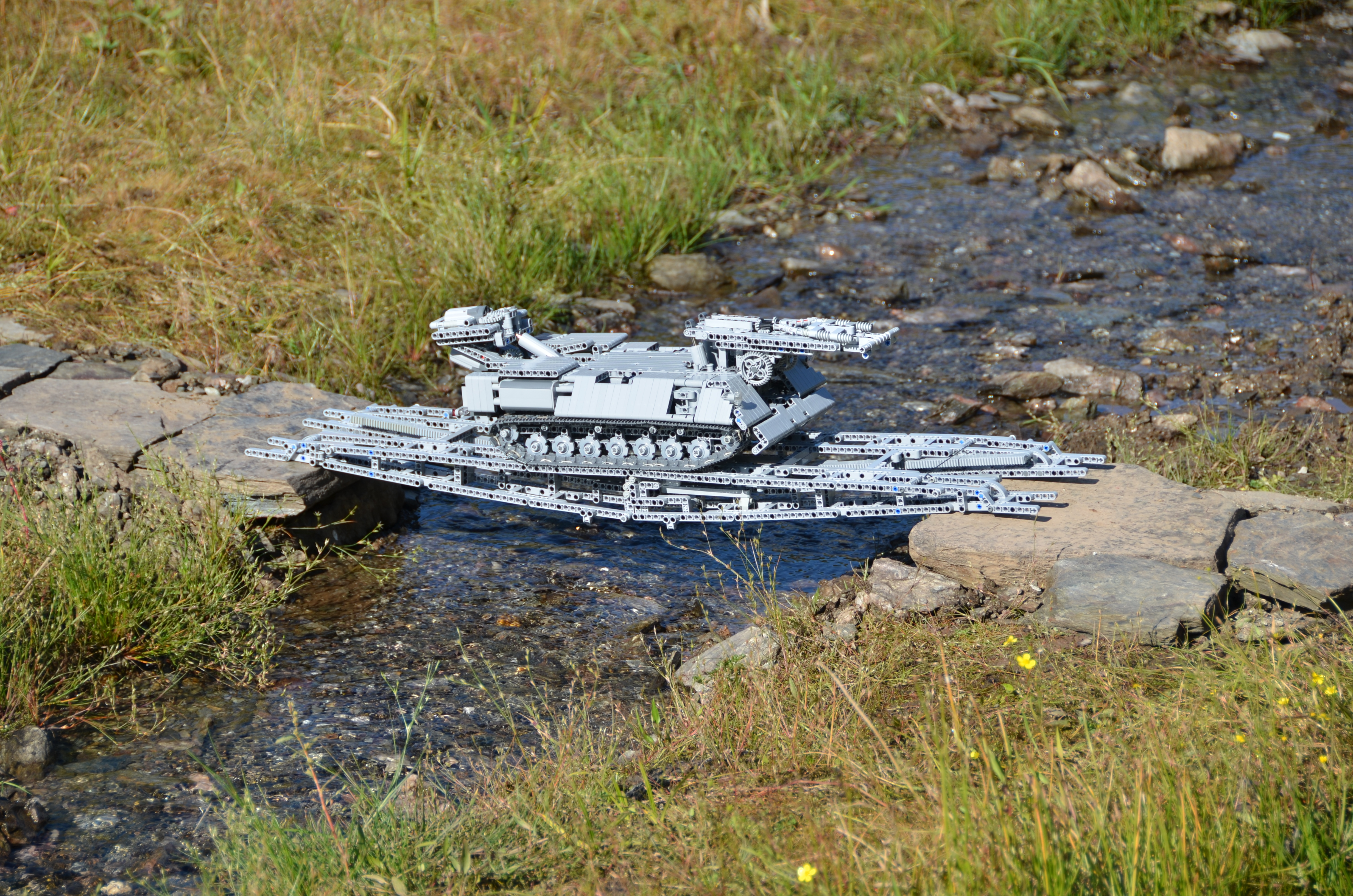 nd7_5740.jpg