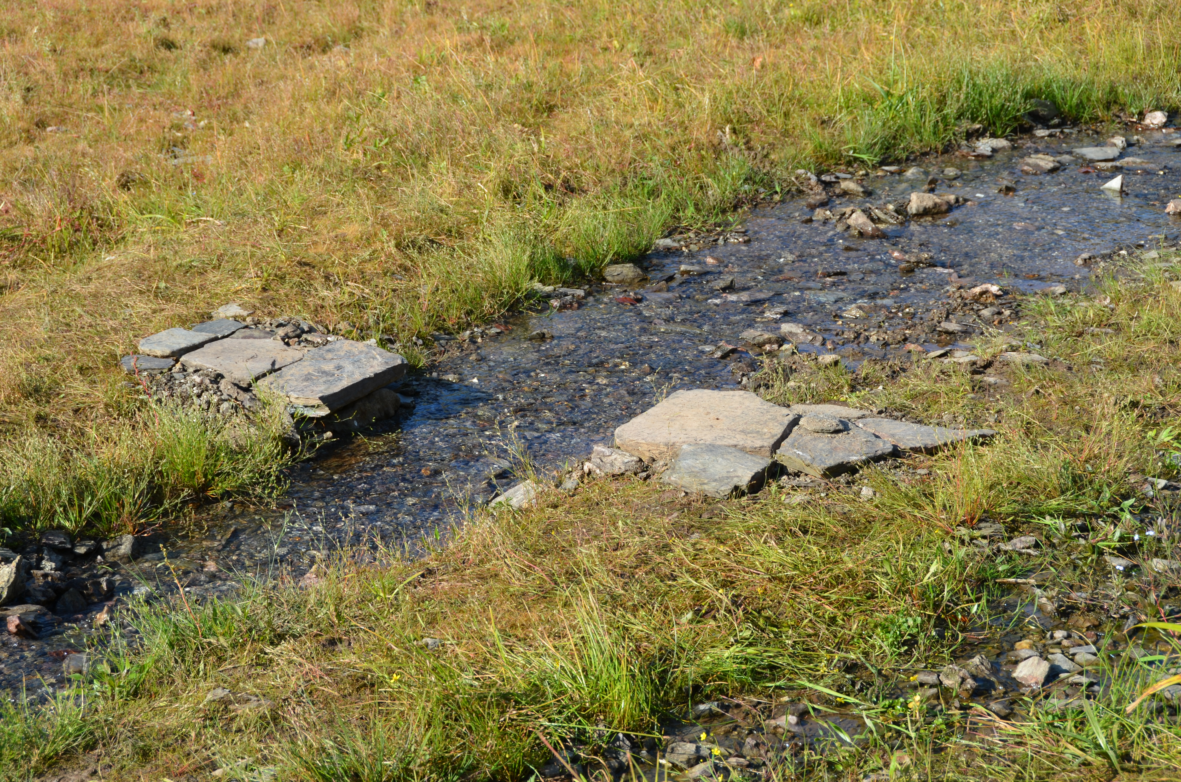 nd7_5769.jpg