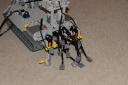 nd7_4707.jpg