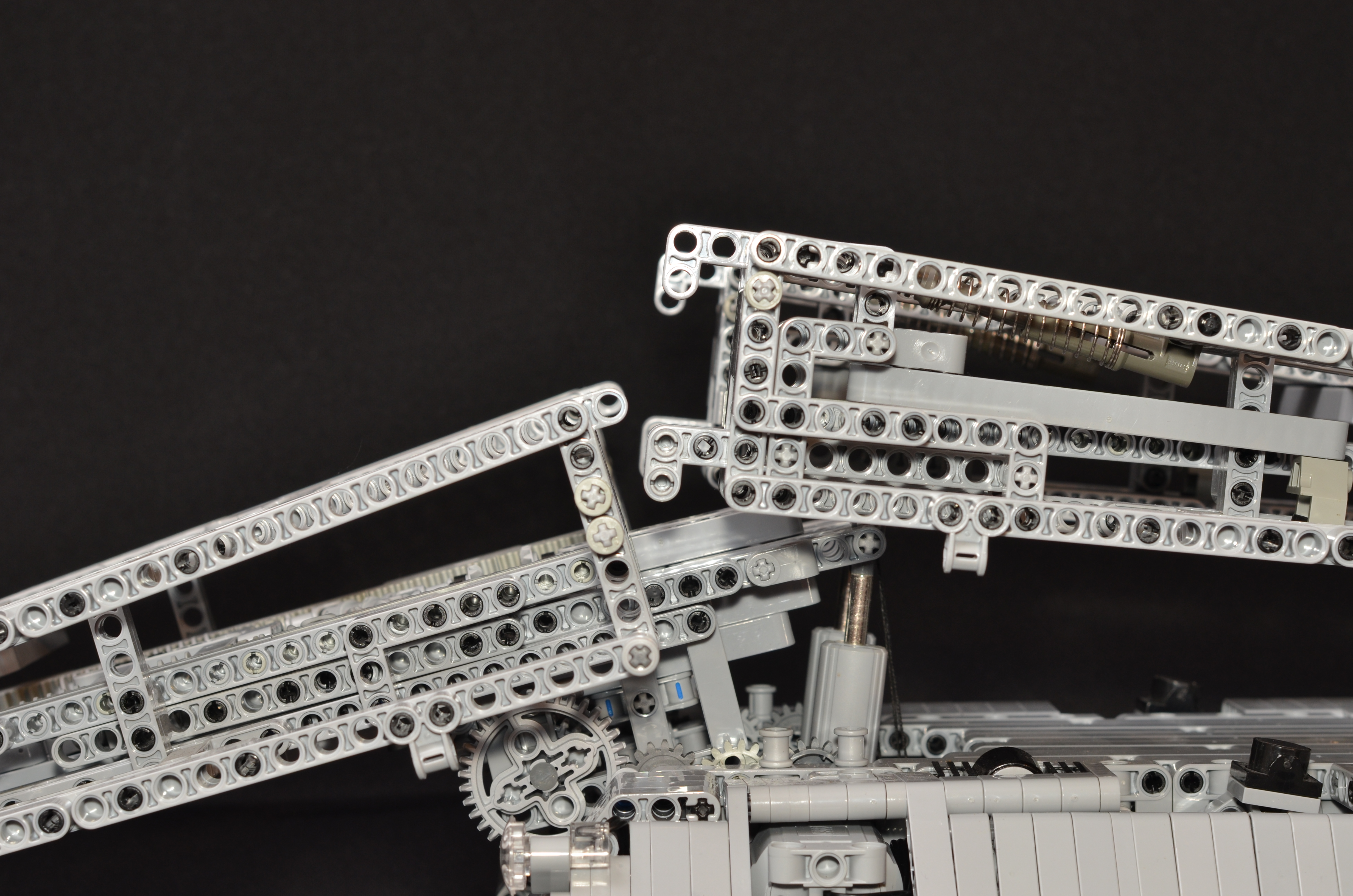 nd7_6875.jpg