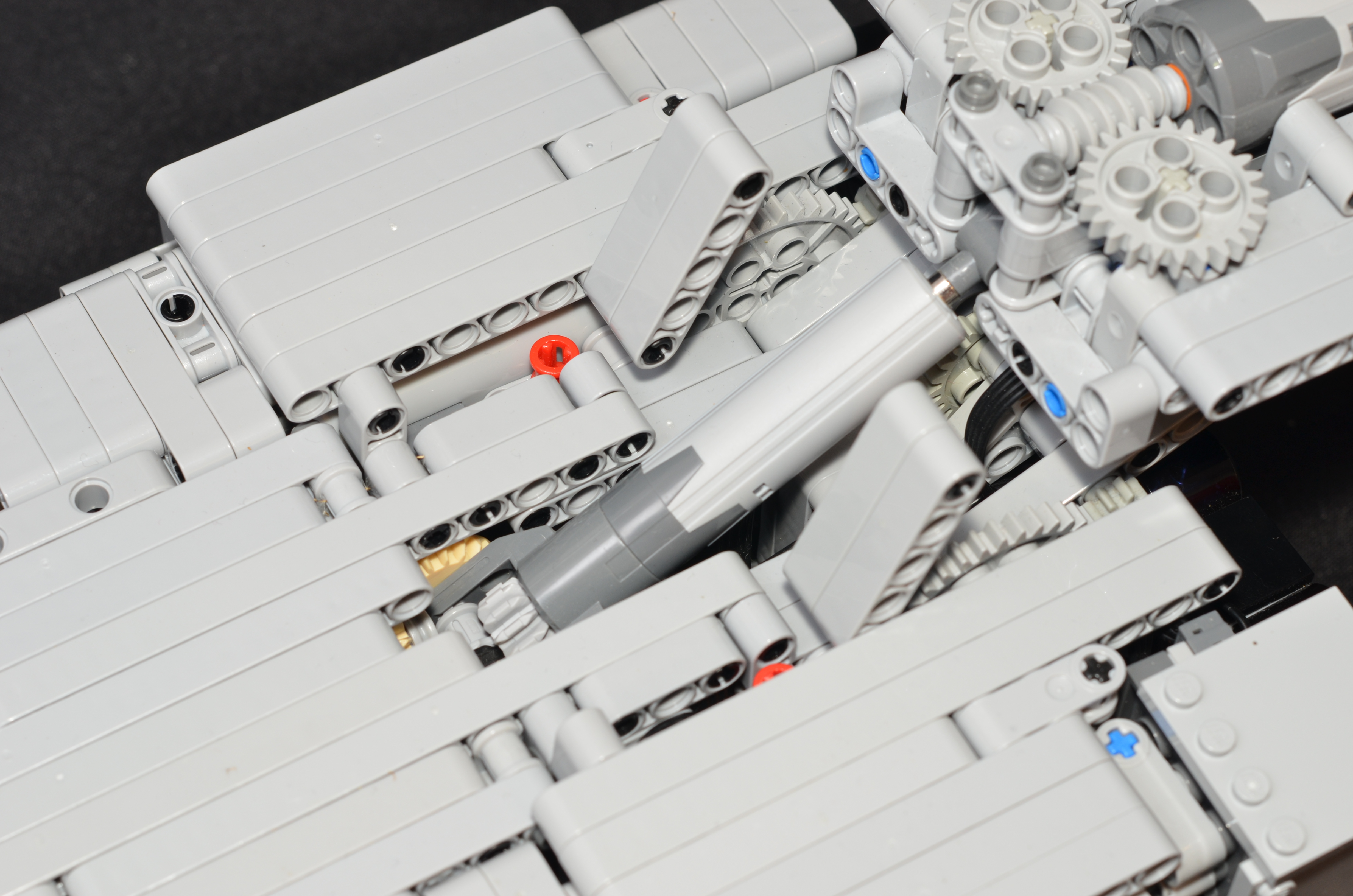 nd7_6888.jpg
