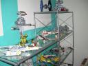 03-collection.jpg