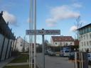 2011_wolnzach_094.jpg