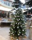 advent_2014_giessen_206.jpg
