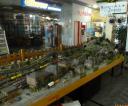 advent_2014_giessen_255.jpg