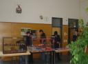 873_poing_jul-2011.jpg