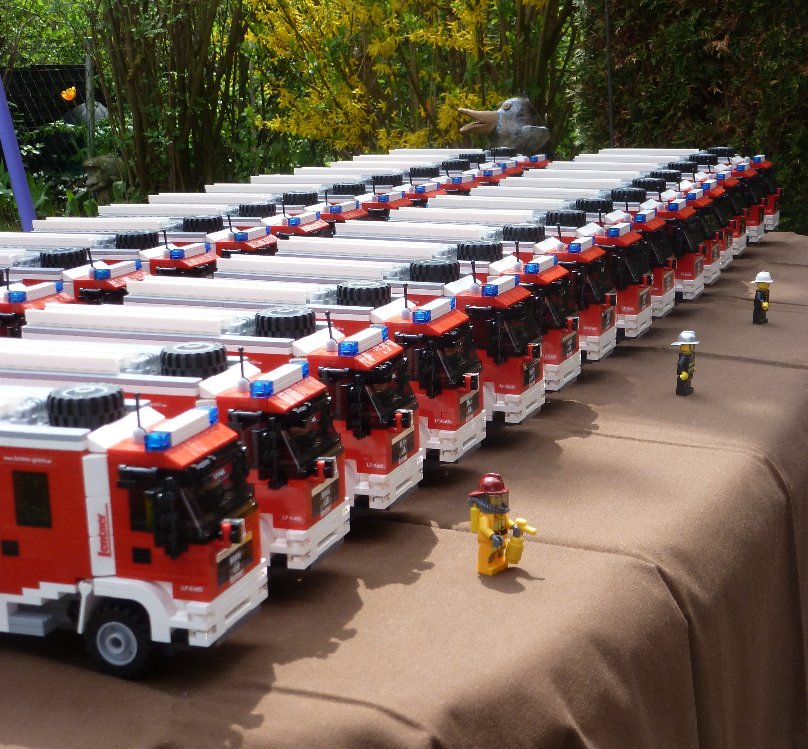 816_lf-kats.jpg