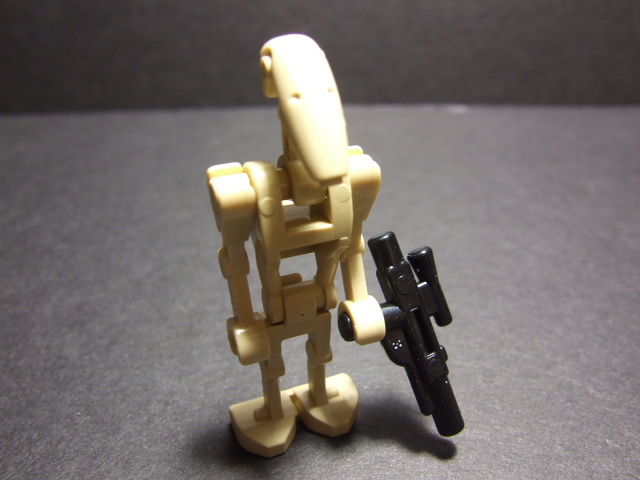 a1.jpg