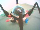 spidermind-3.jpg