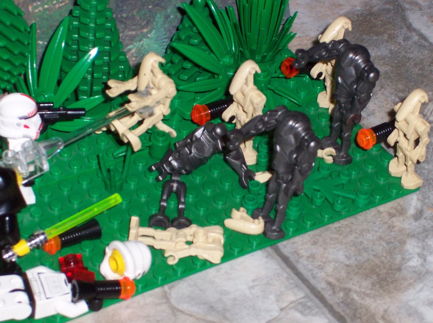 100_5699.jpg