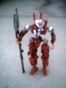026jaakuarashi.jpg