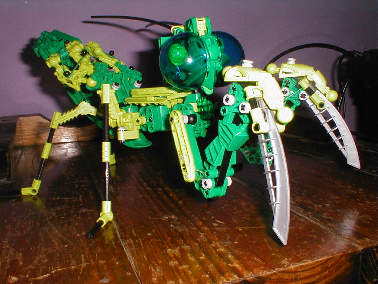chibantis001.jpg