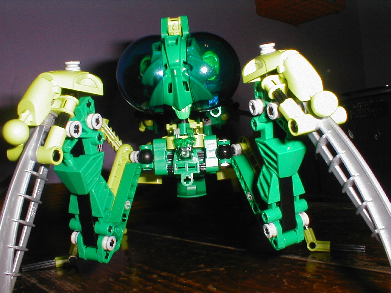chibantis002.jpg