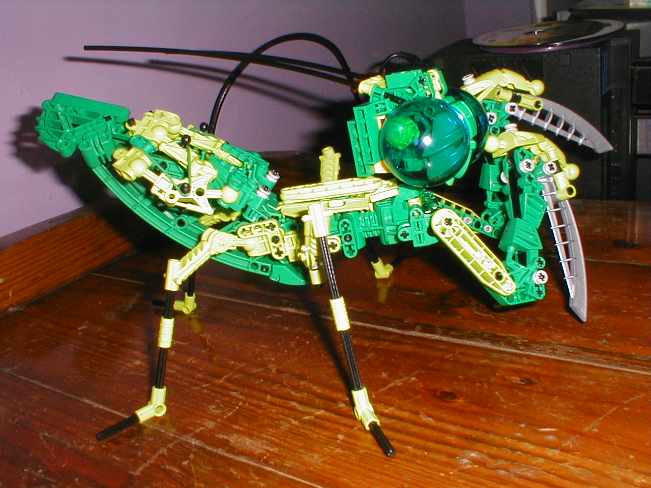chibantis006.jpg