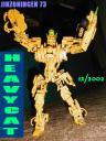 heavycat012b.jpg