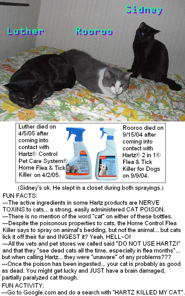 hartzkilledmycats.jpg