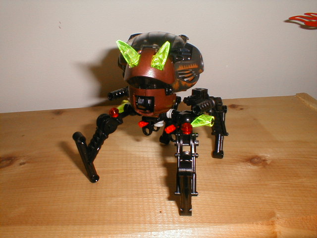 oblihead1.jpg