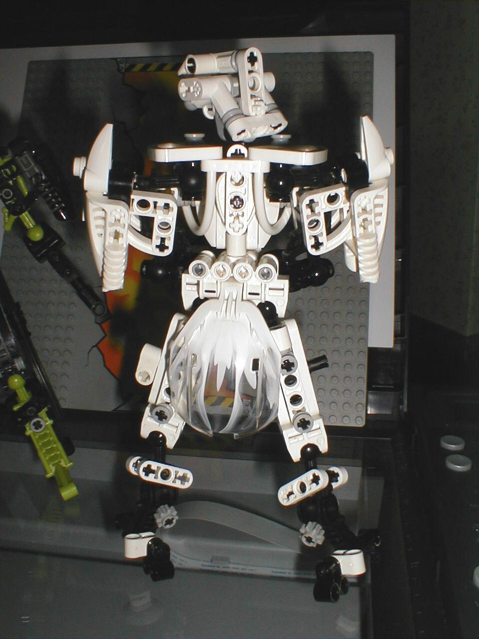 riotflea001n2012.jpg